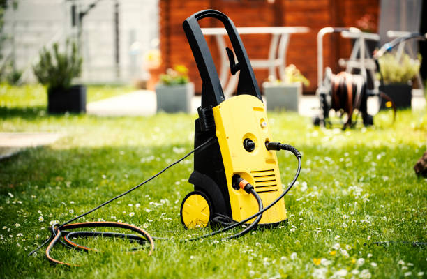 Best Animal Enclosure Cleaning  in Northdale, FL